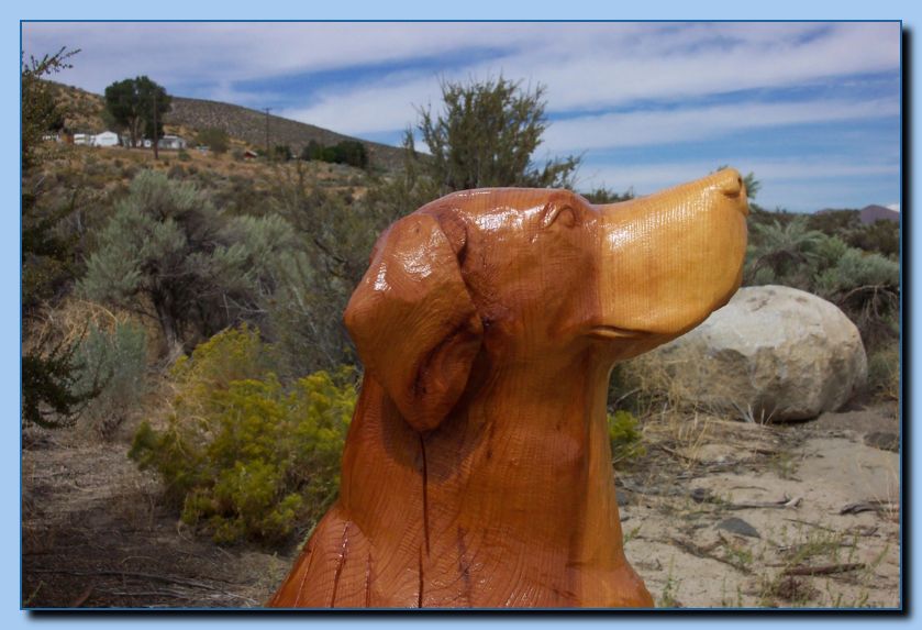 2-56 dog-rottweiler-archive-0014